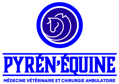 Pyr&eacute;n'&eacute;quine